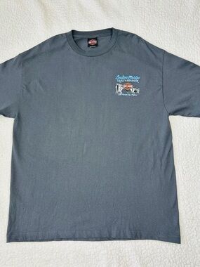 Harley Davidson Shirt Mens XL Gray London Bridge Lake Havasu AZ Motorcycle Biker